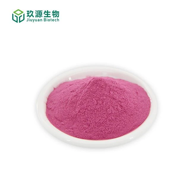 Blackcurrant Juice Powder suppliers